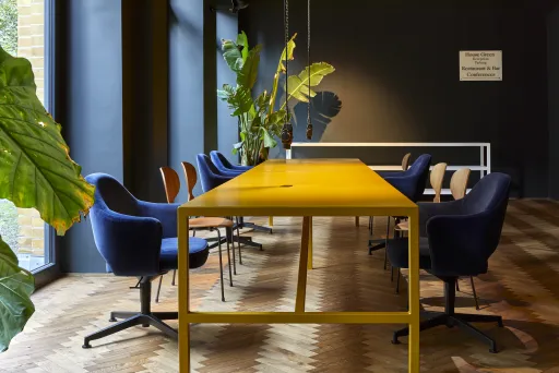 Co-Working Space mit gelbem Tisch, blauen Stühlen und großen Zimmerpflanzen.