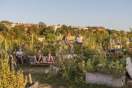 Neukoelln, Schillerkiez, Tempelhofer Feld