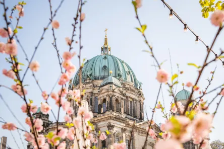 Frühling
