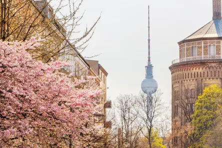 Frühling