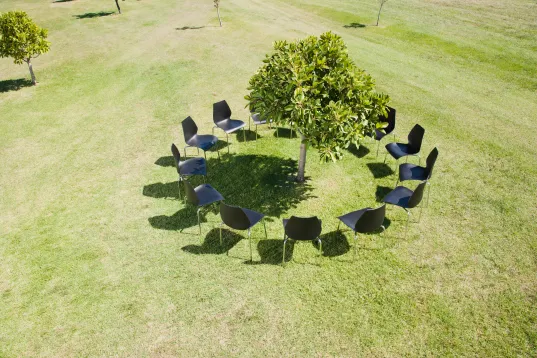 Ein Stuhlkreis, der auf einer grünen Wiese um einen Baum aufgebaut ist