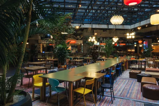 Impressionen der Kalle Halle in Neukölln. Modernes Restaurant mit langen Holztischen, Pflanzen, bunten Stühlen und warmem Licht unter einem Glasdach, gemütliche Atmosphäre.